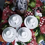 Suítes Flor De Muriqui