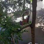 Ipanema Paz E Amor