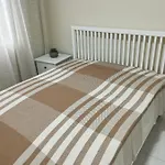 Apartamento No Humaita
