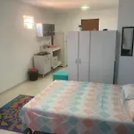 O Sol Da Manha