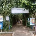 Quarto Na Barra Da Tijuca Proximo Rio Centro E Ao Lado Da Praia, Moro No Apt