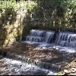 Acolhida Temporada