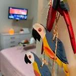 Lindo Studio Em Uma Vila A 350 Metros Da Praia R T 210 Ap202