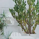 Na Praia, Com Terraco E Jardim- Leblon 2 Suites