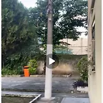 Apto Perto Brt Barra