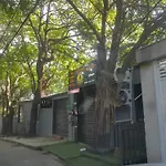 Linda Casa