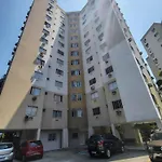 Lindo Ape Ao Lado Da Barra Da Tijuca