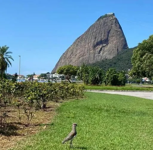 Apartamento Para Casal No Flamengo