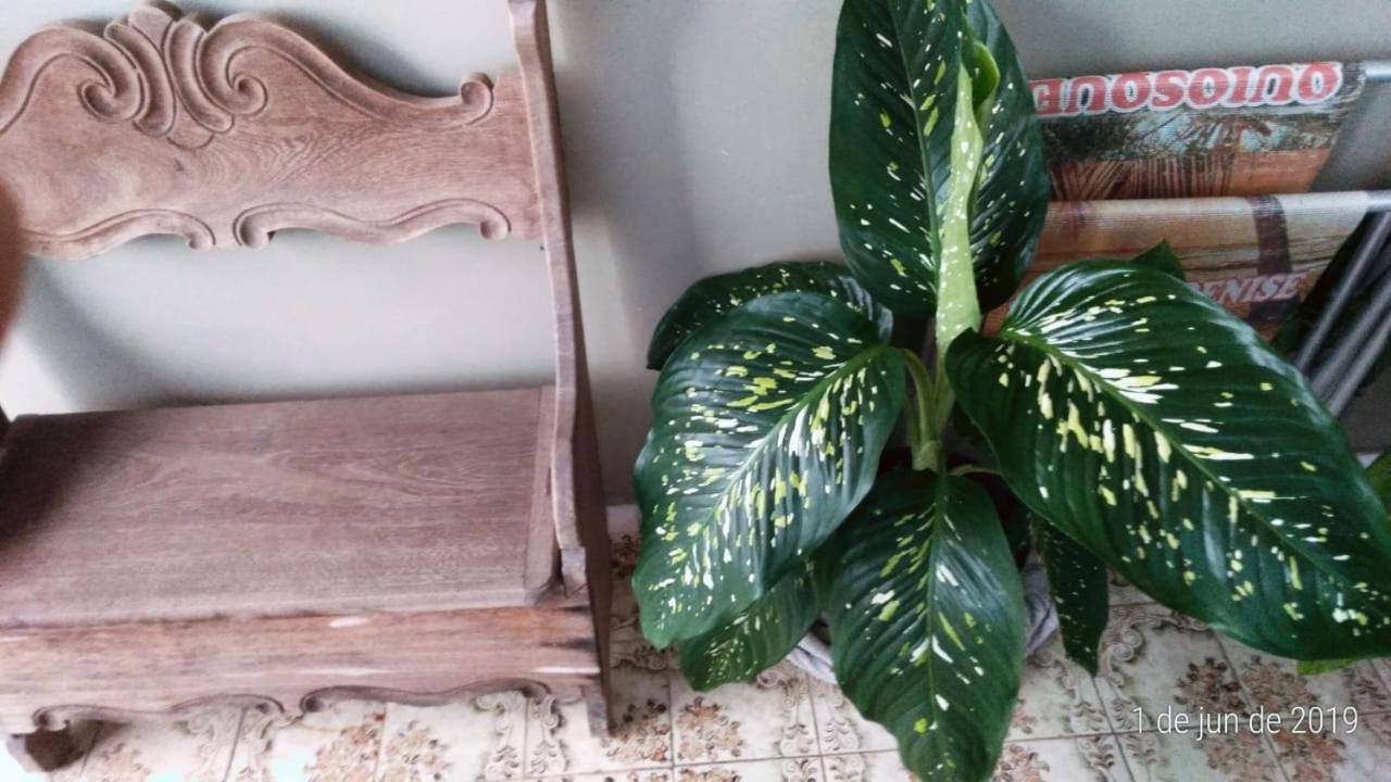 Suítes Flor De Muriqui