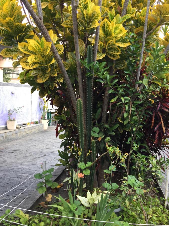 Casa Aconchegante Em Valqueire * Rio de Janeiro