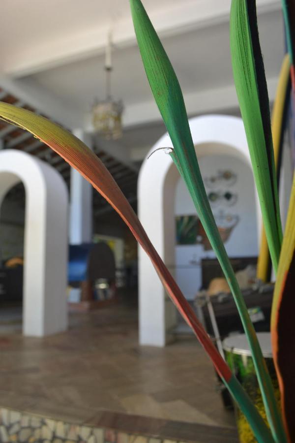 Hostel Banana Leaf Eco *