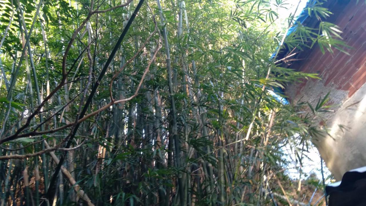 Barra Da Tijuca Hospedagem domiciliar Rio de Janeiro