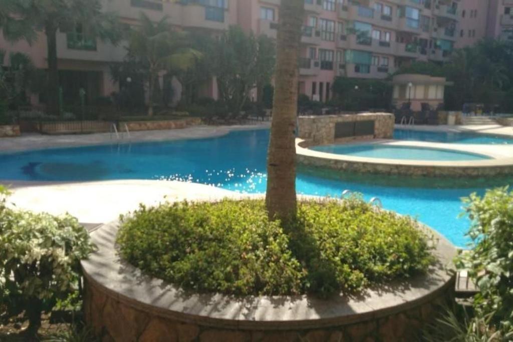 Barra - Praia, Piscina E Conforto