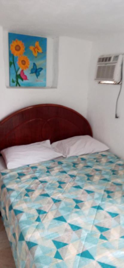 Nova Albergue