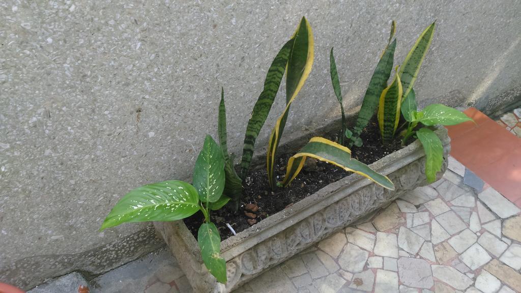 Recanto De Alegrias Em Sao Cristovao Albergue Rio de Janeiro