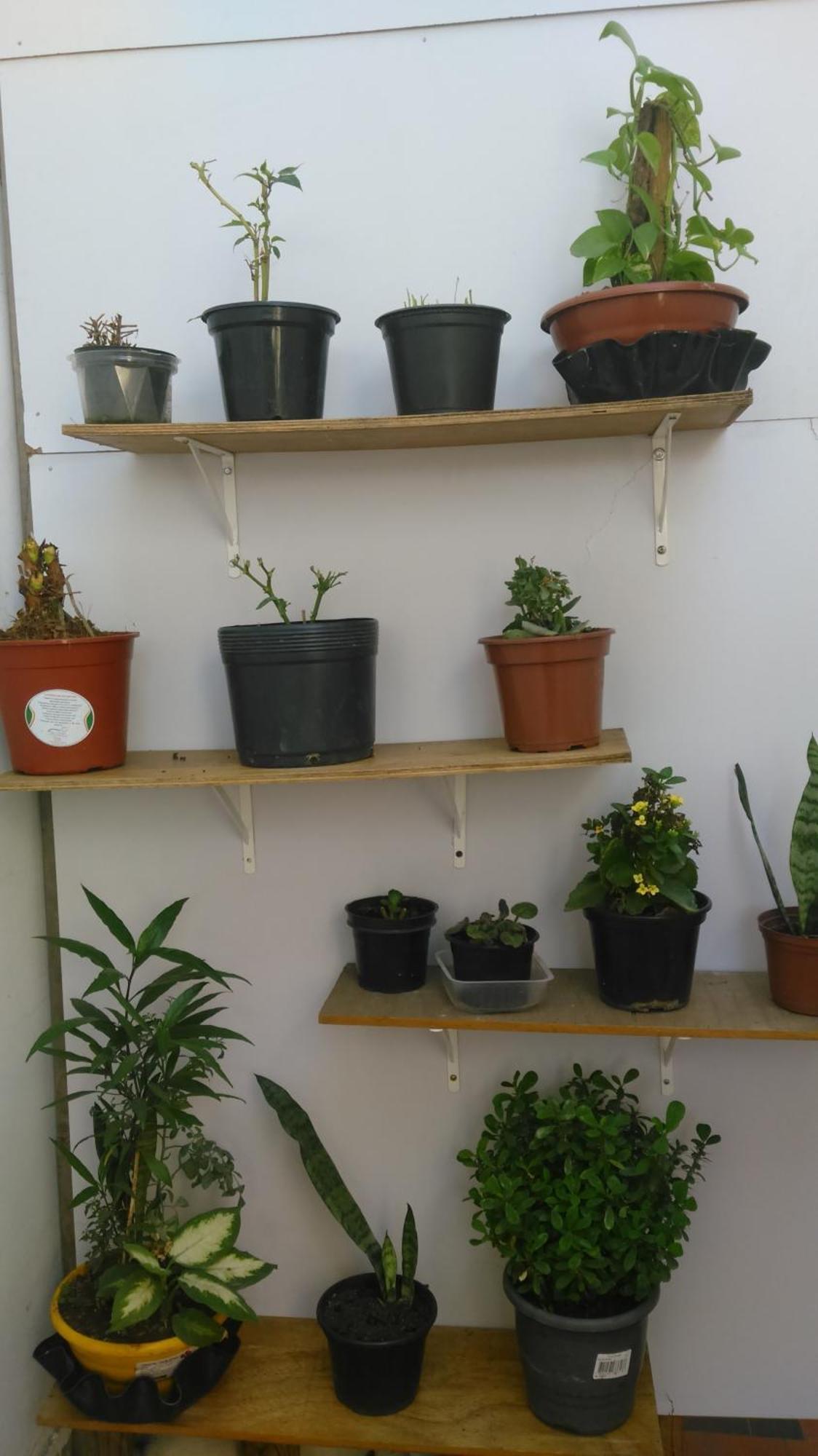 Recanto De Alegrias Em Sao Cristovao Albergue Rio de Janeiro
