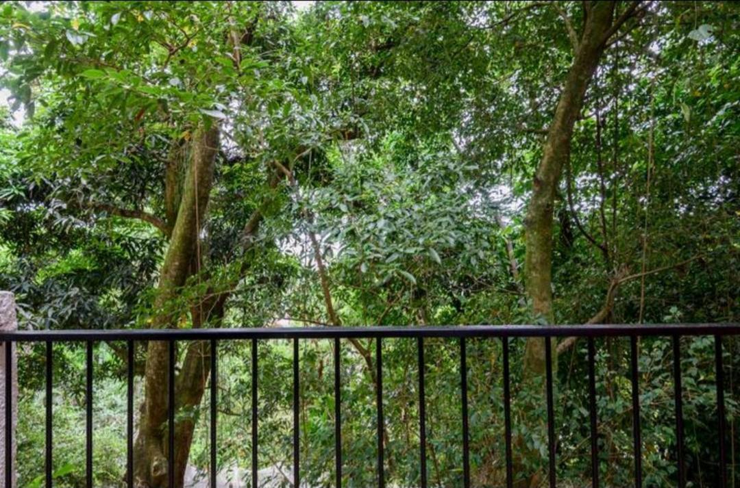 Santa Teresa Junto A Natureza Bed & Breakfast
