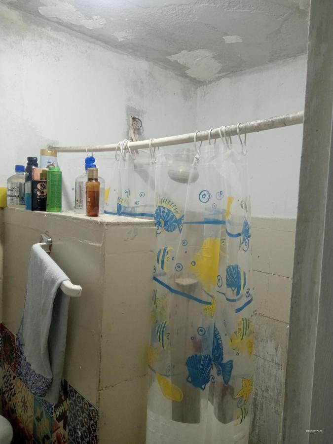 Rocinha House