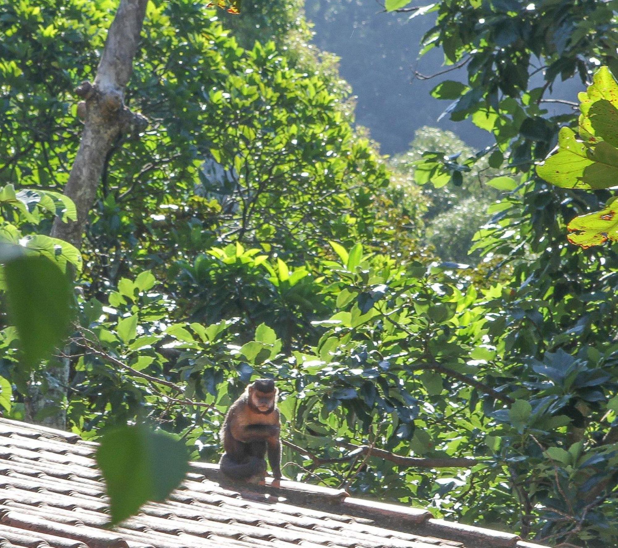 Guest house Les Jardins De Rio Boutique