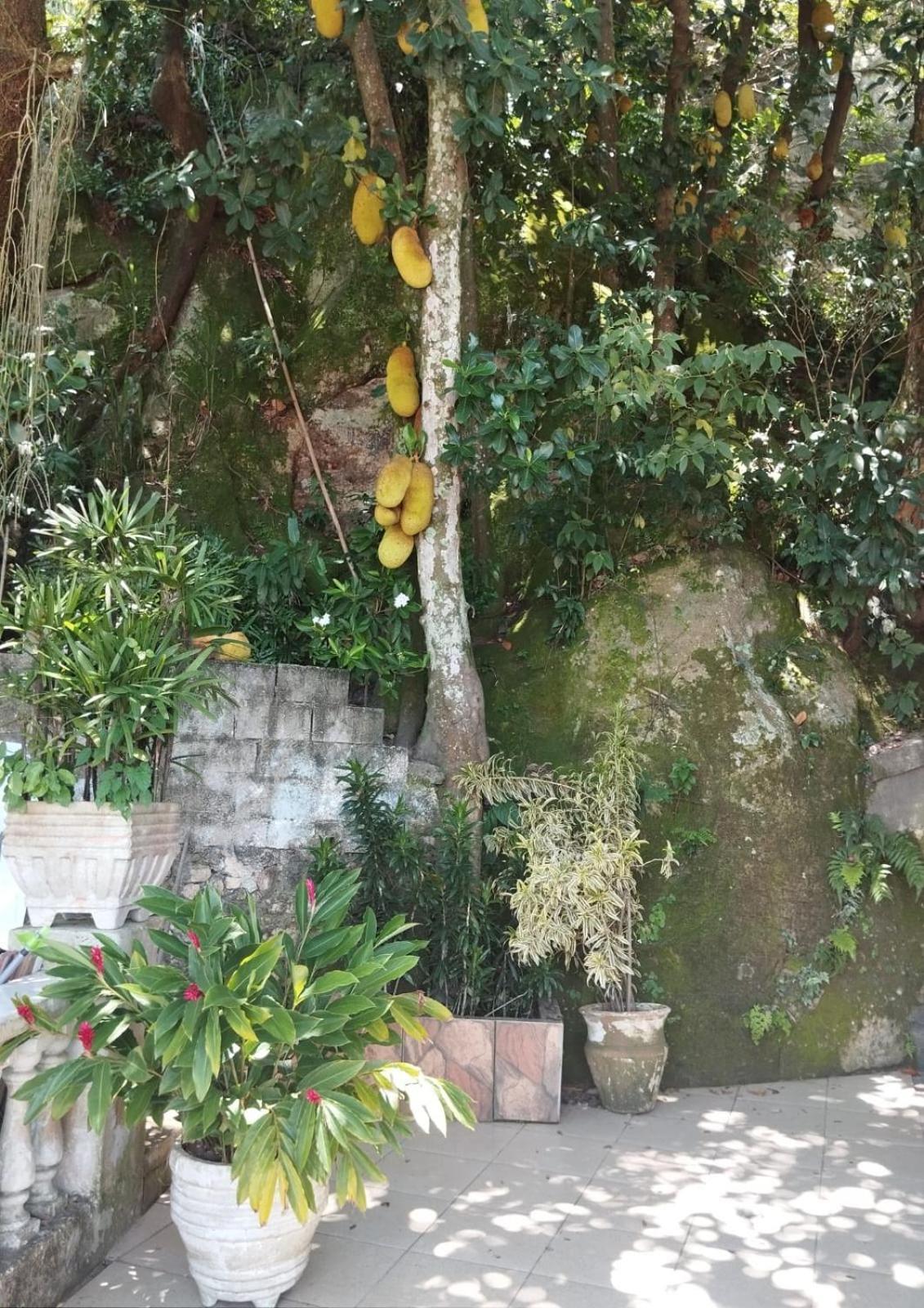 Casa Luzes Ivn Albergue *