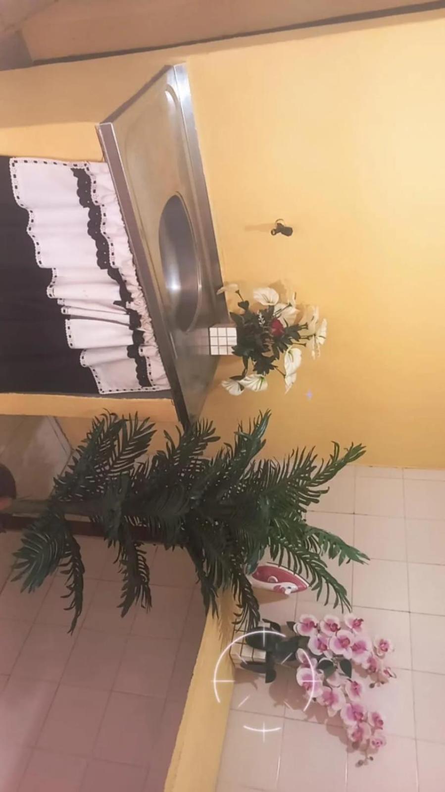 Guest house Olympio House *