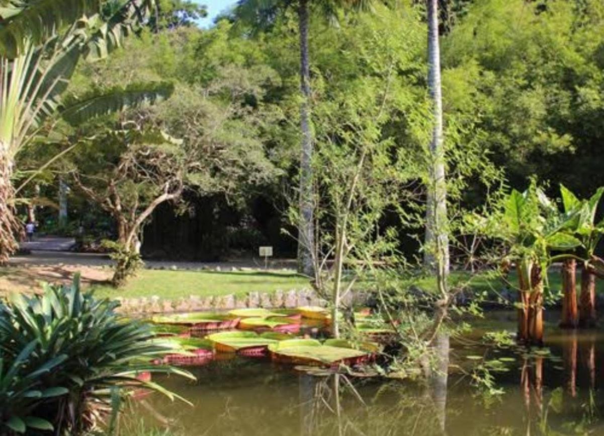 Hospedagem domiciliar Botafogo Rio de Janeiro
