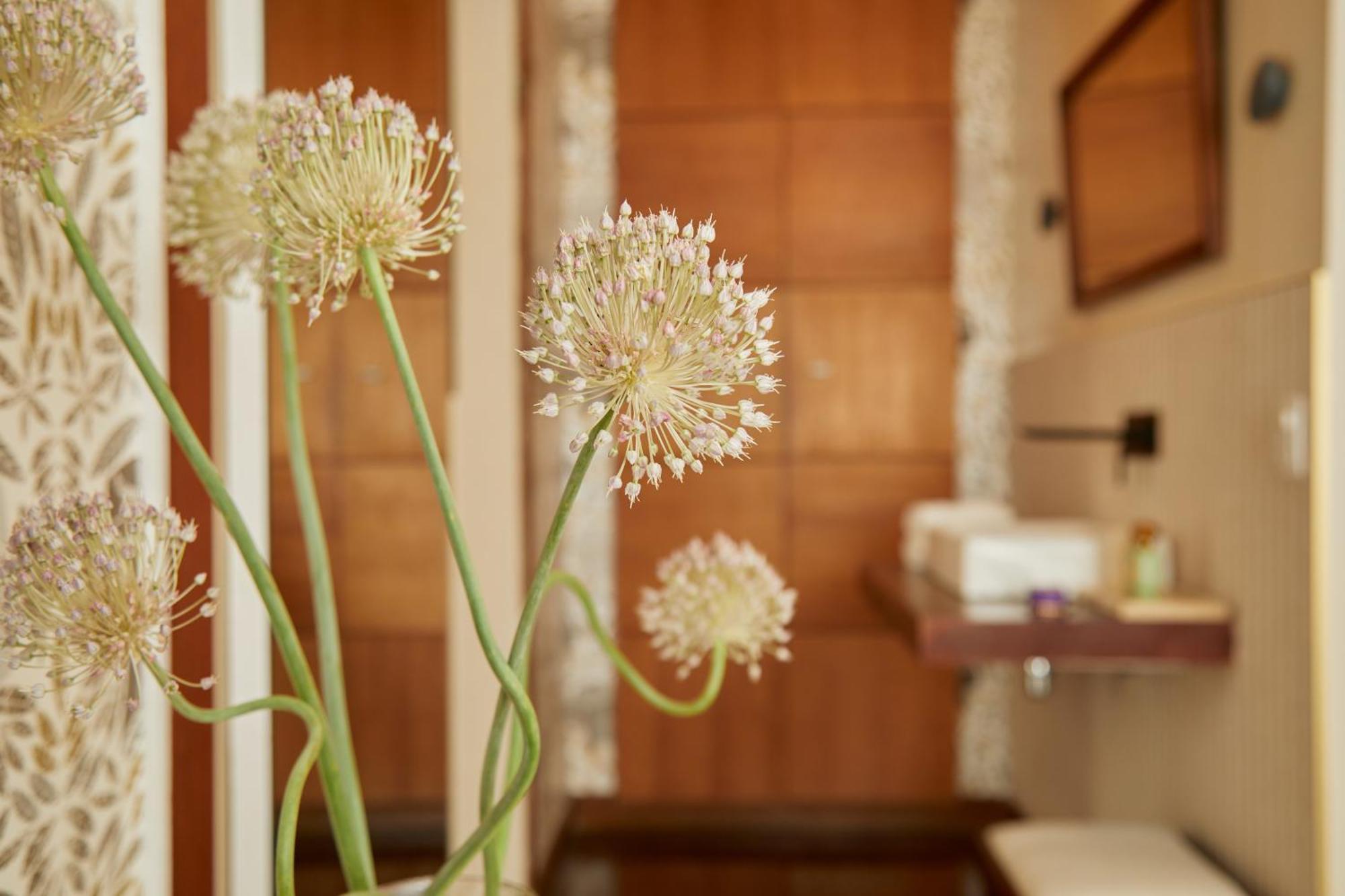 Maison Mama Ruisa Guest house Rio de Janeiro