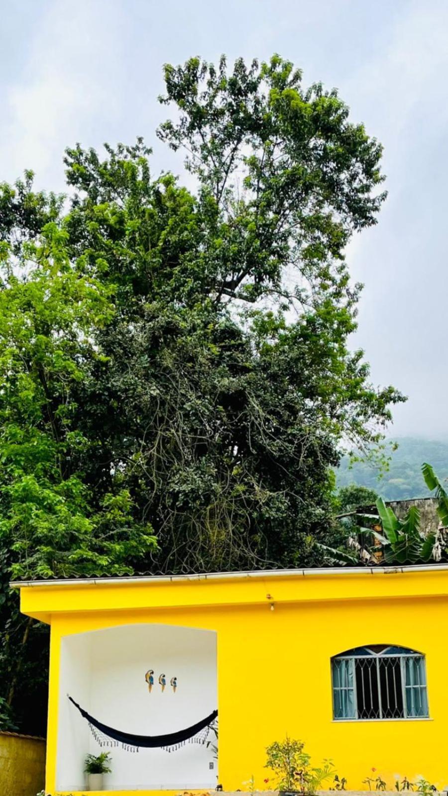 Carvalho De Paquetá * Rio de Janeiro