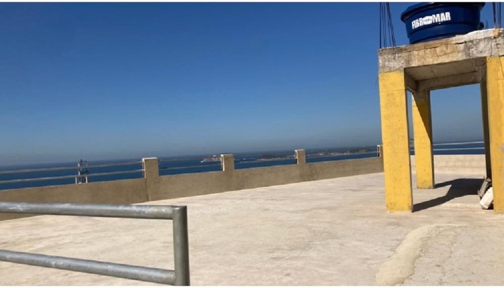 O Sol Da Manha *