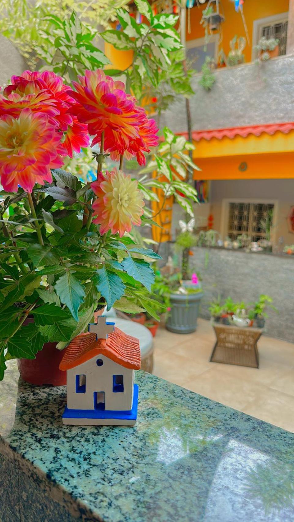 Village Potira - The * Rio de Janeiro
