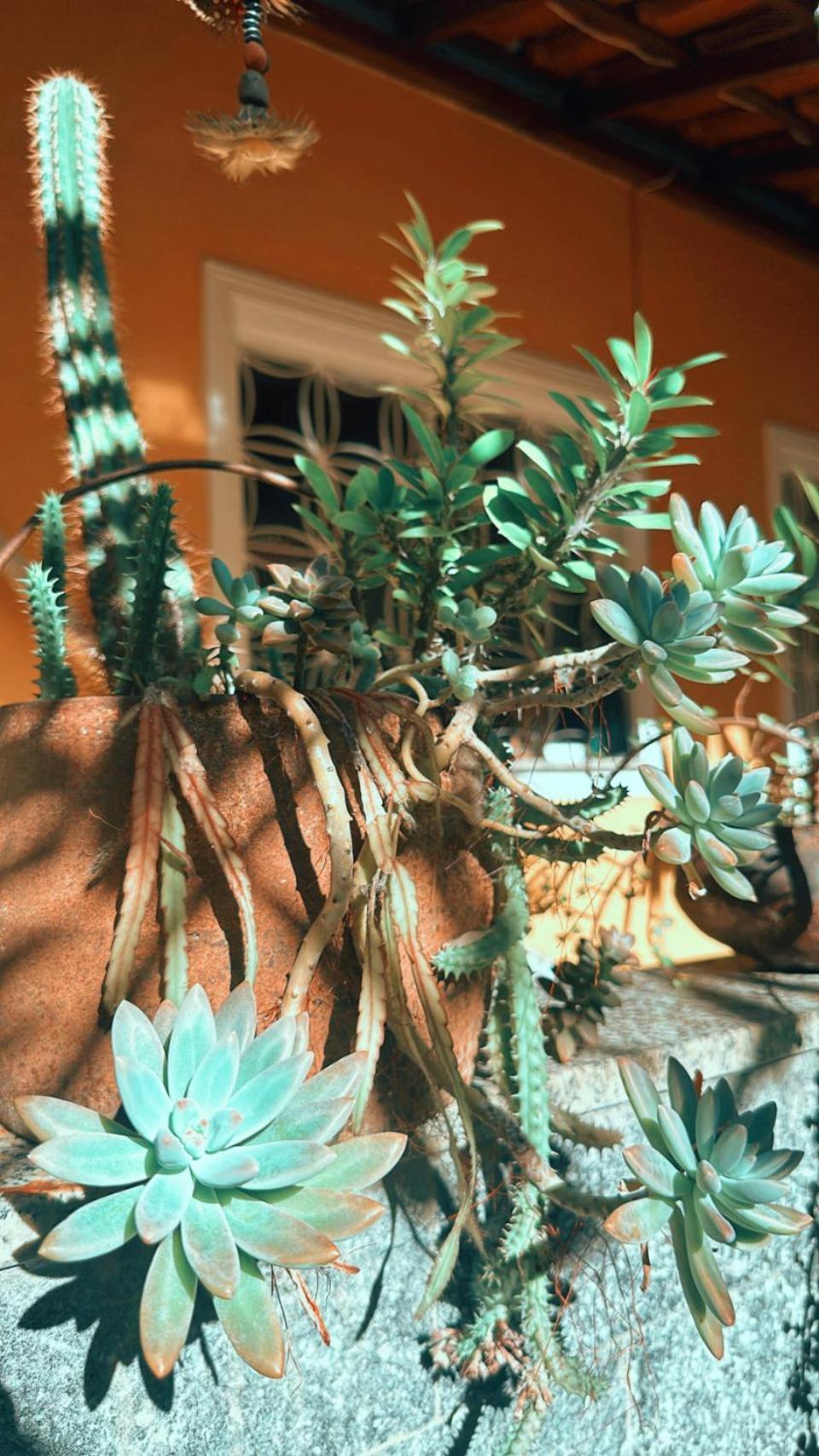 Hostel Village Potira - The