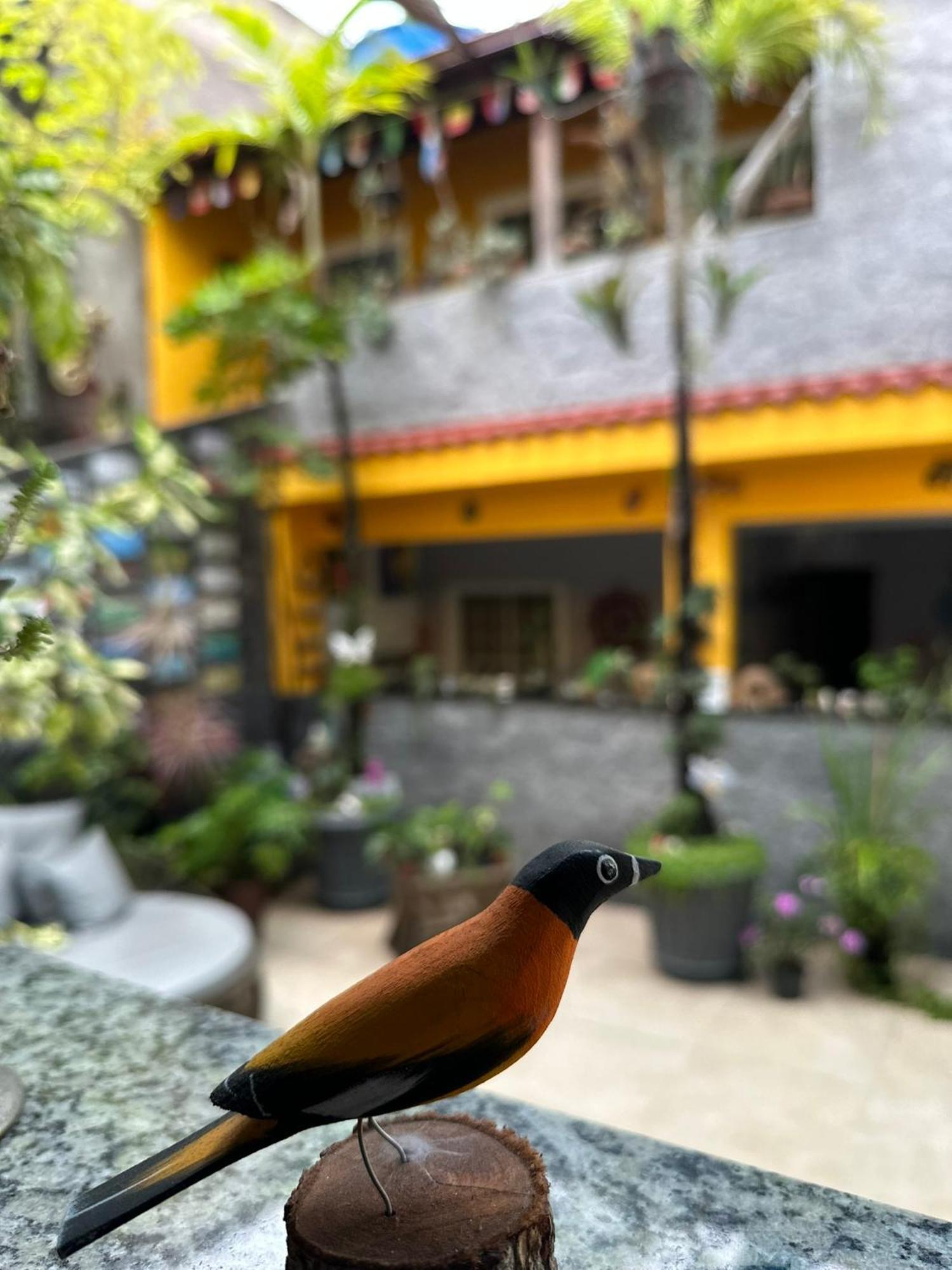 Village Potira - The Hostel Rio de Janeiro