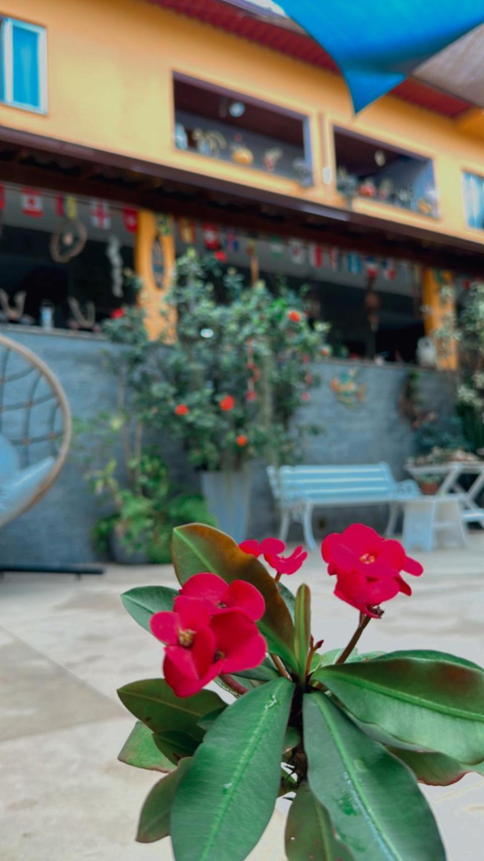 Village Potira - The Hostel *
