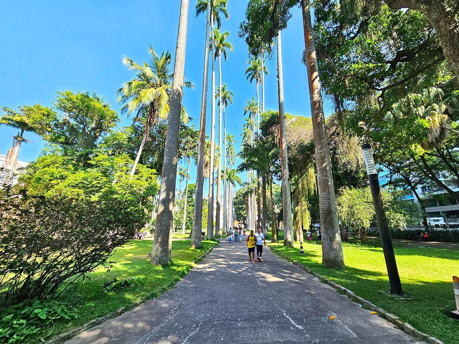 Lindo Na Zona Sul Do Rio
