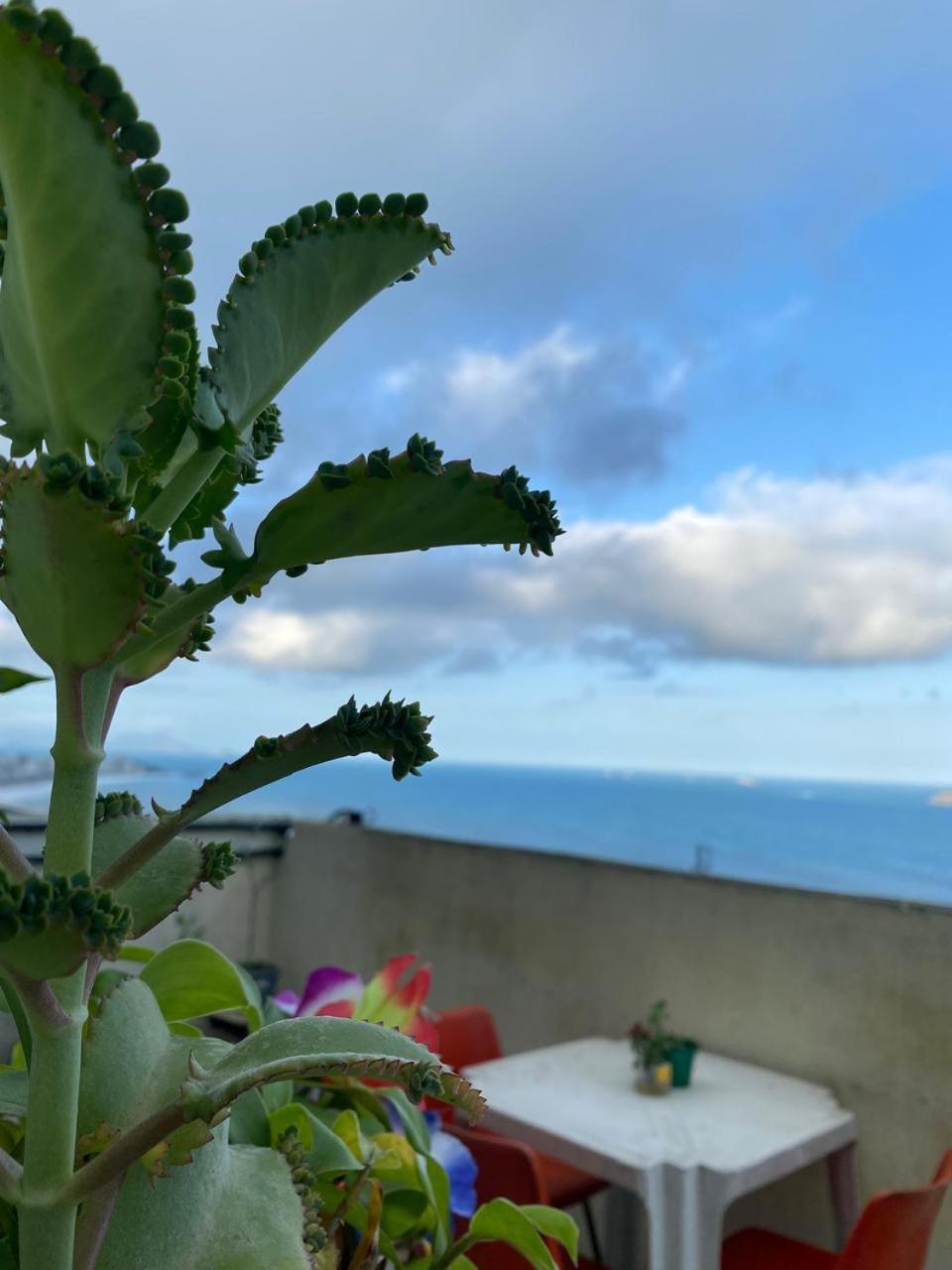 Alzira House Vidigal Albergue *