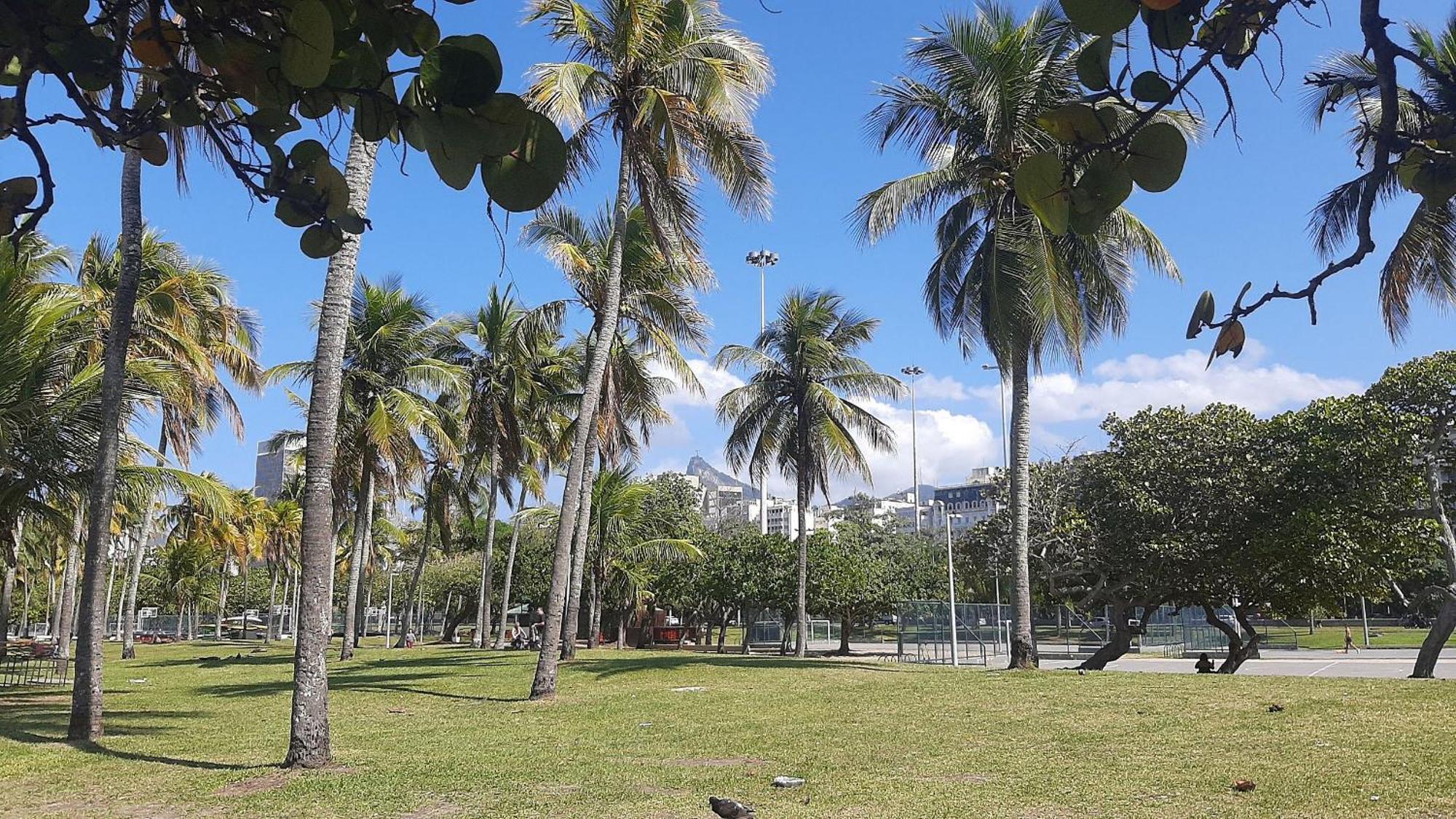 Apartamento Flamengo Design - 4 Hospedes, Privativo E Completo *