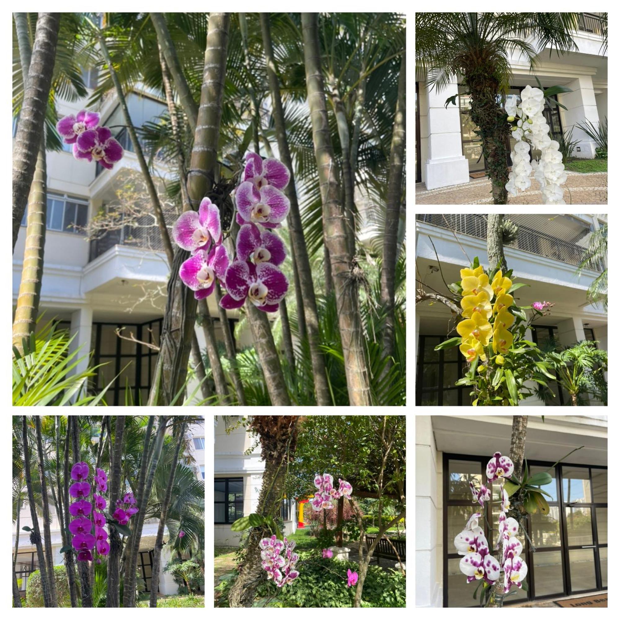 Barra Family Com Piscina E Spa, 2 Quartos * Rio de Janeiro