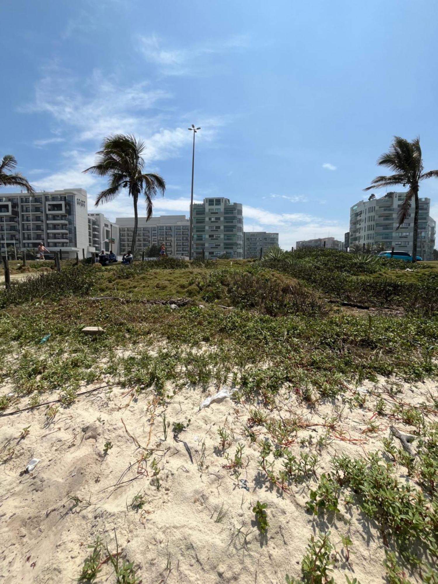 Decoracao Exclusiva Na Da Barra
