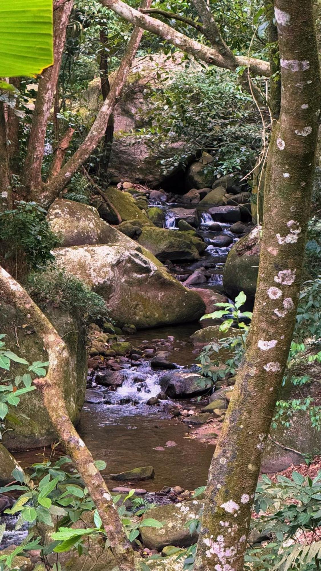 Casa de Férias Casa Da Floresta