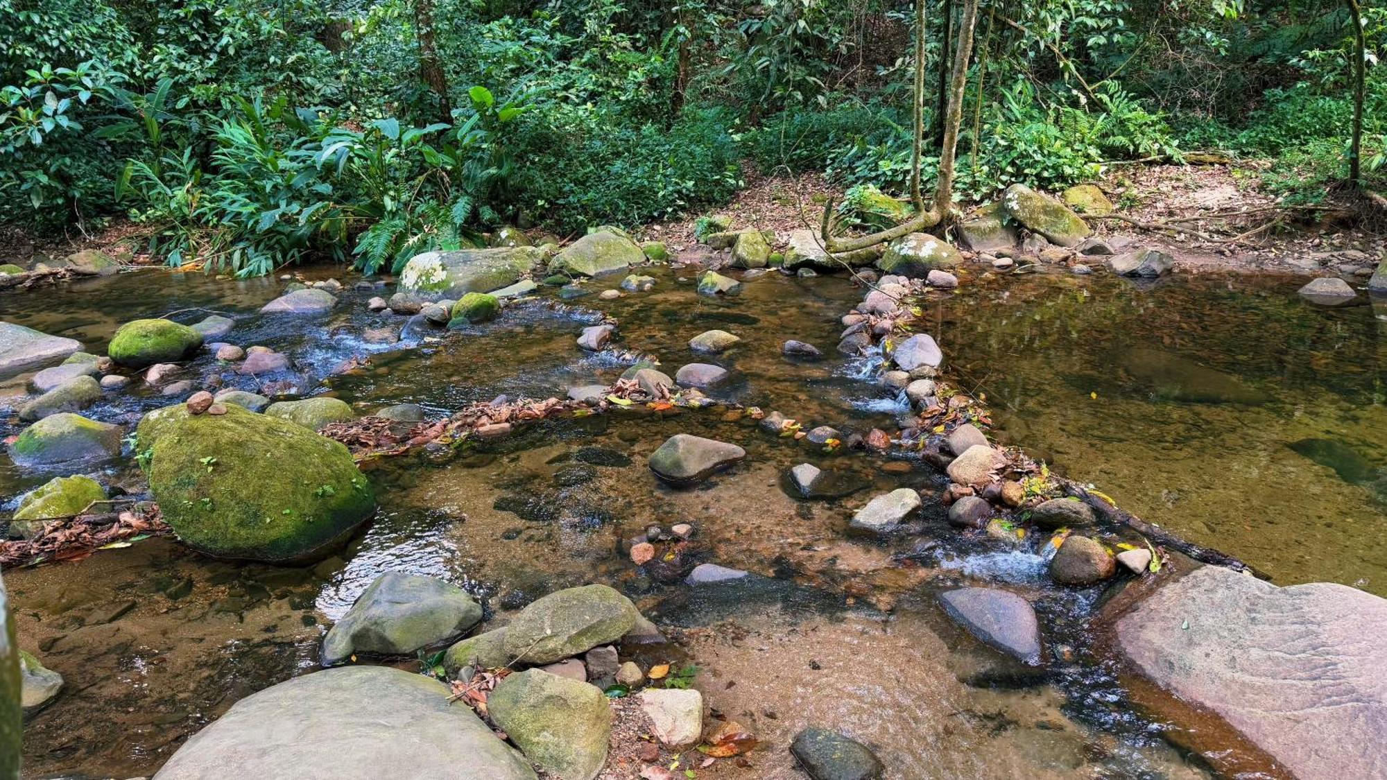 Casa de Férias Casa Da Floresta