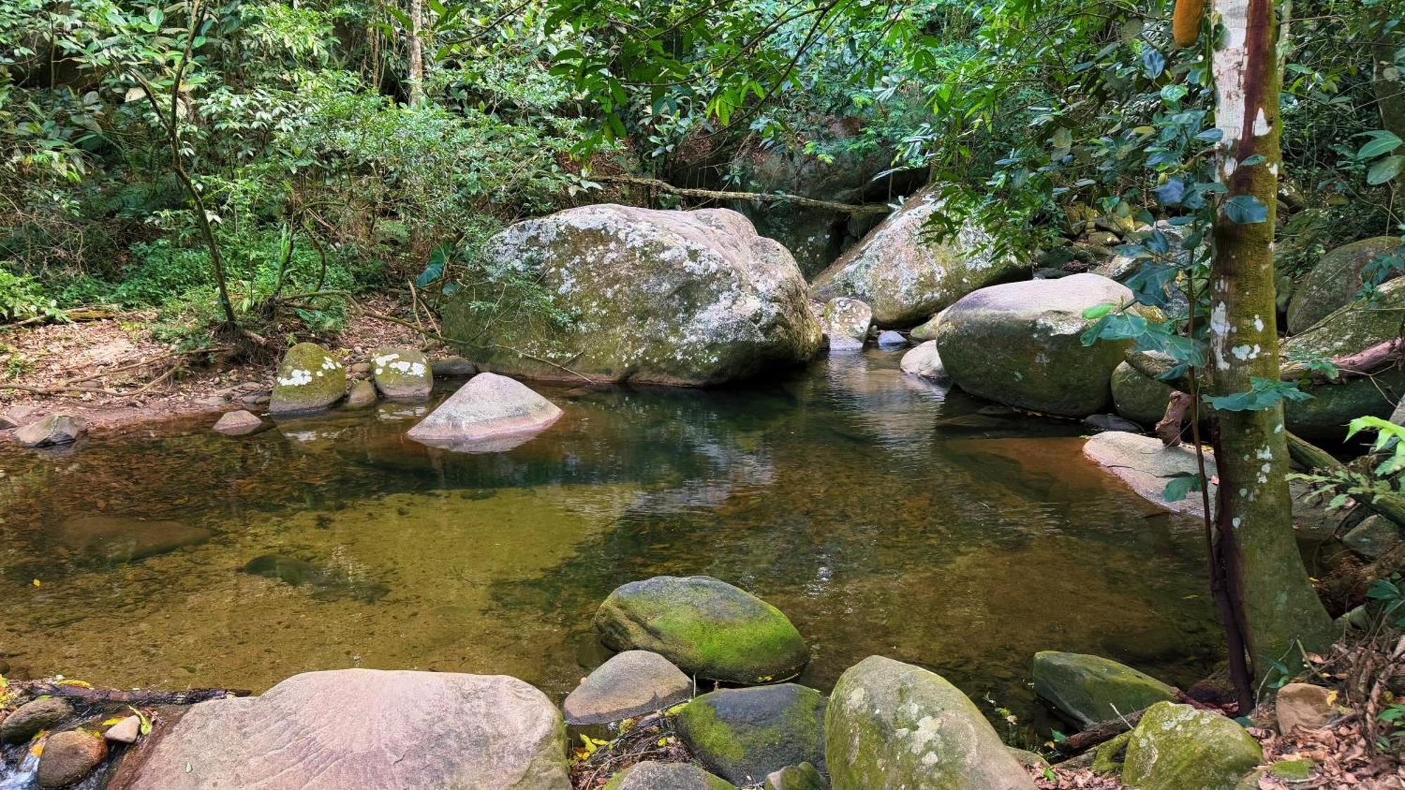 Casa de Férias Casa Da Floresta