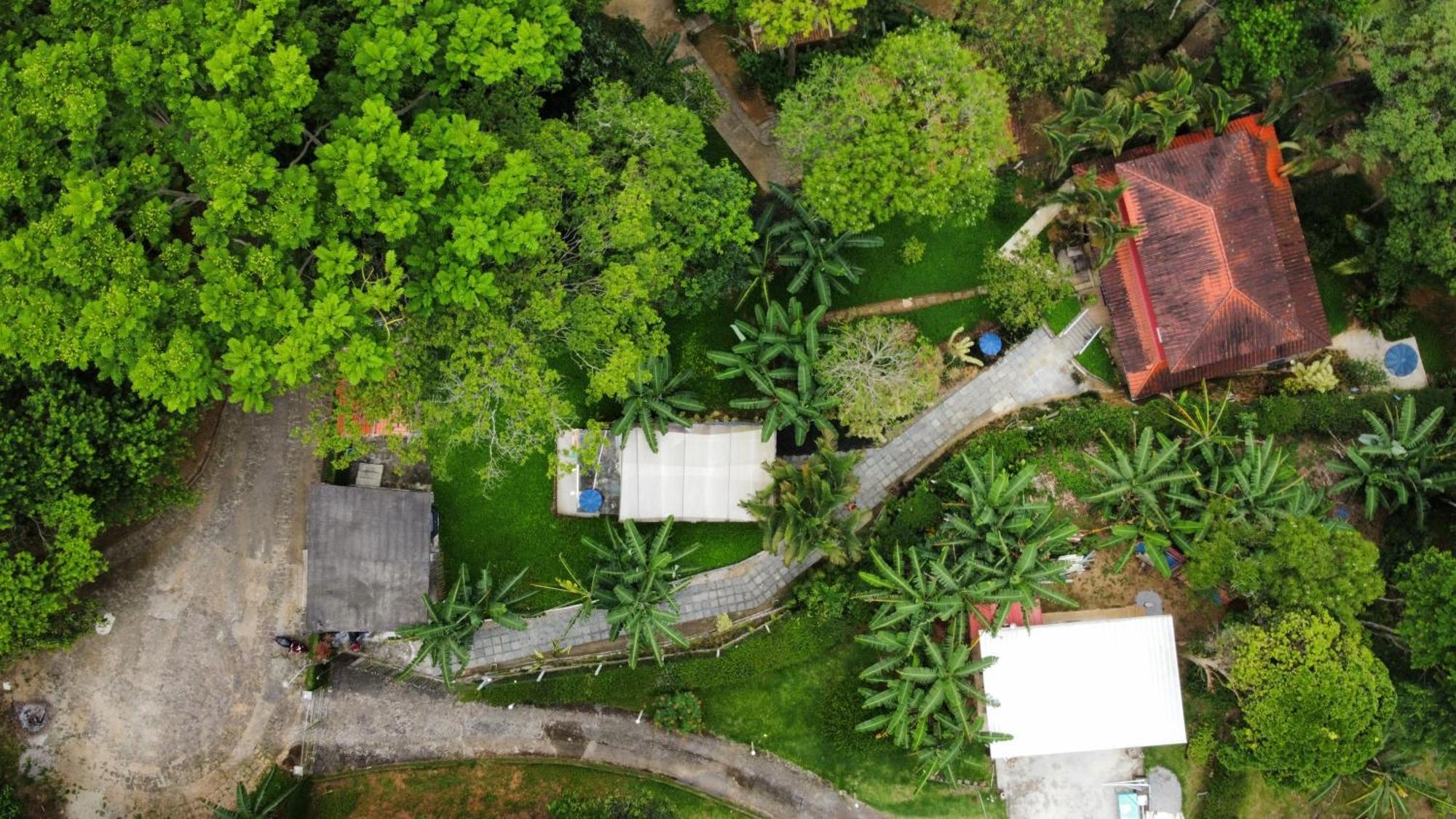 Casa Da Floresta Casa de Férias
