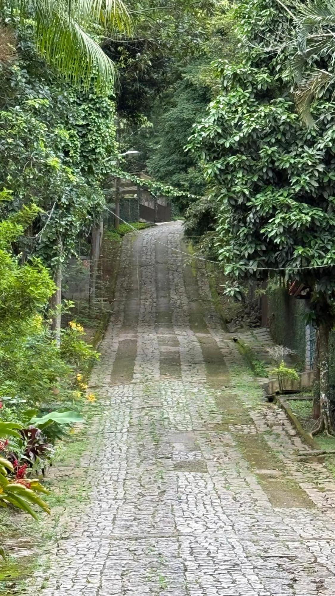 Casa Da Floresta Casa de Férias