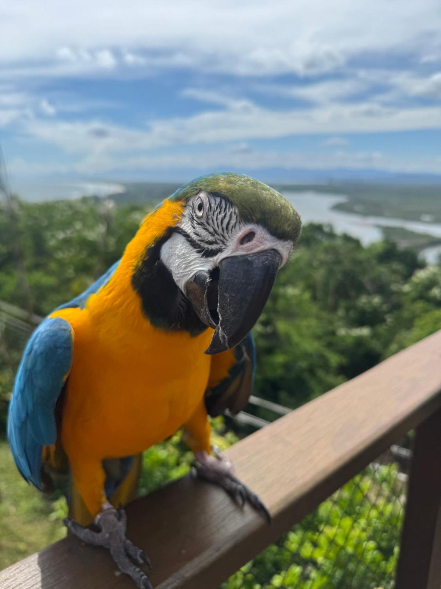 Minas Em Marambaia Casa de hóspedes Rio de Janeiro