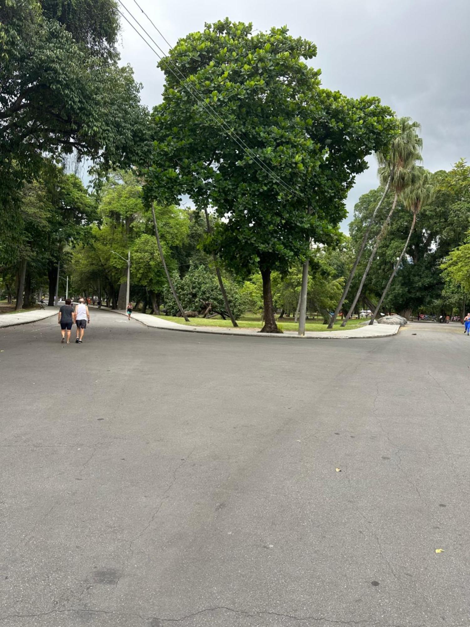O Queridinho Rio de Janeiro