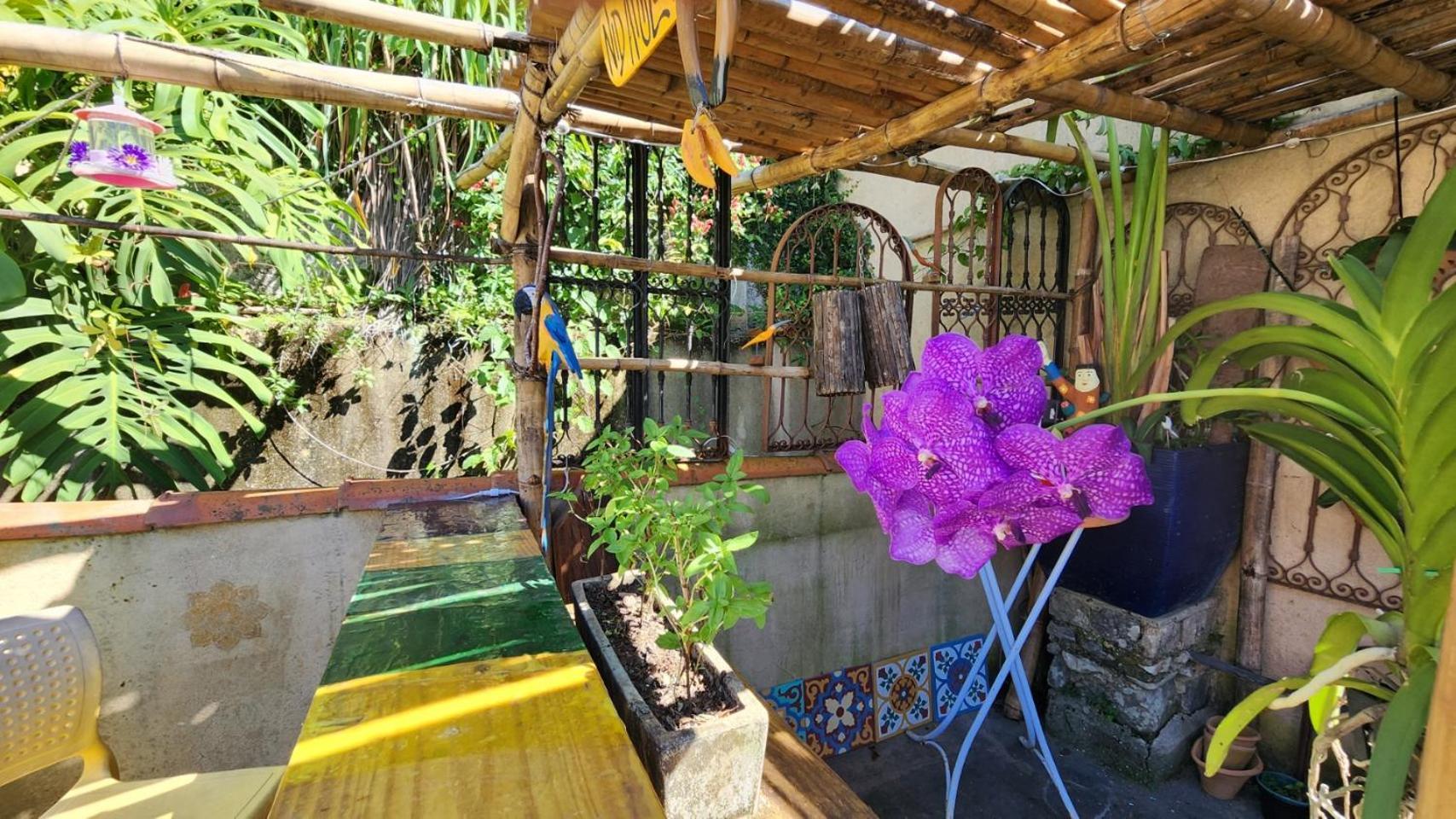 Bed & Breakfast Nid Aigle 3 *