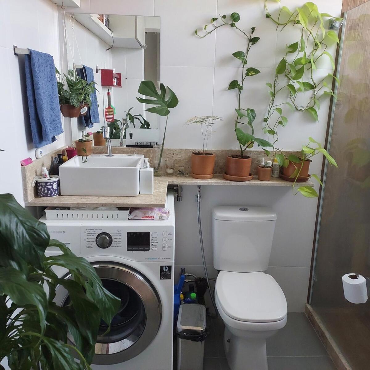 Conjugado Acolhedor Centro Rj Apartamento