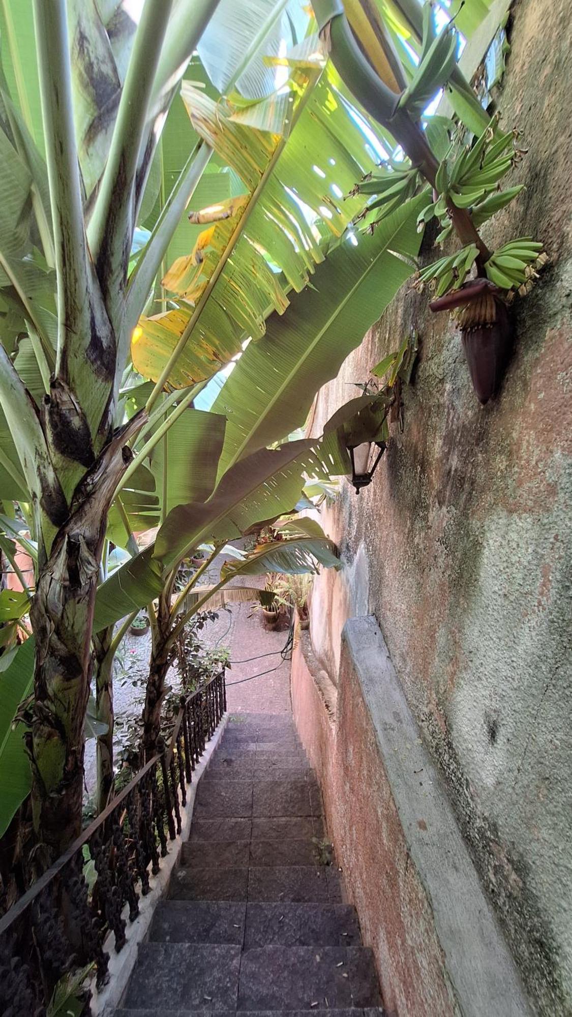 Casinha Laranja * Rio de Janeiro