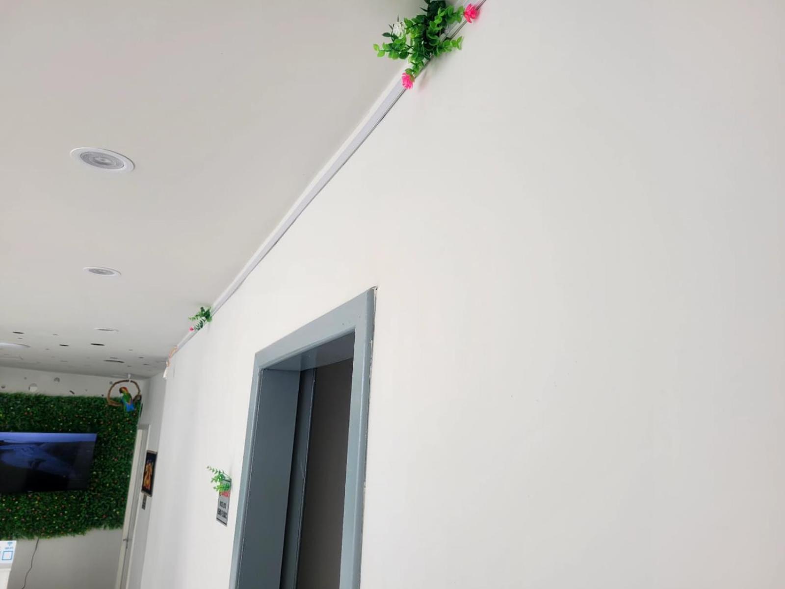 Albergue Kriok Vidigal Rj