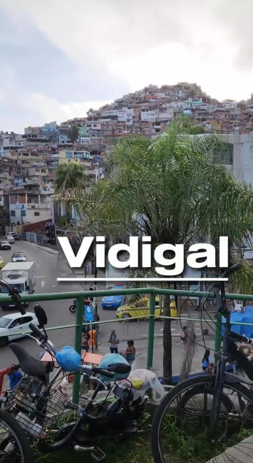 Kriok Vidigal Rj Albergue *
